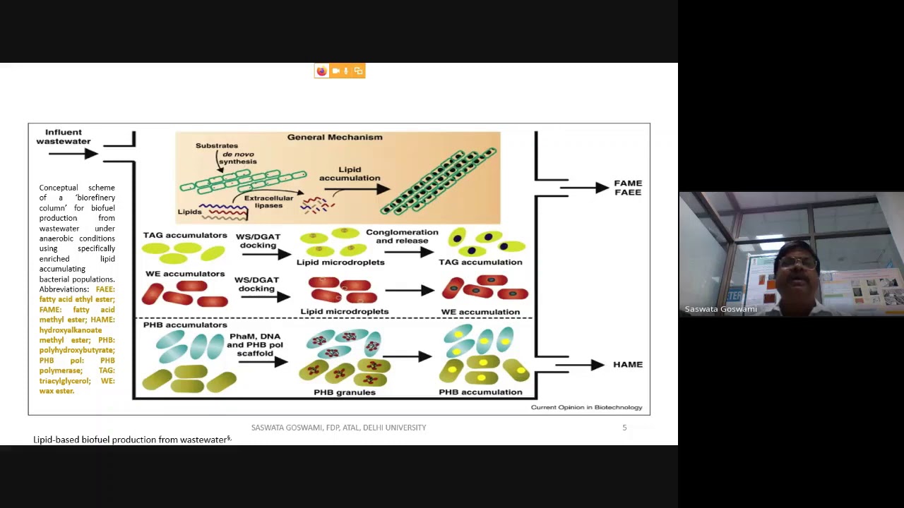 Lipid Derived Biofuels