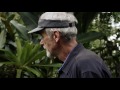 Journey to a Costa Rican Food Forest