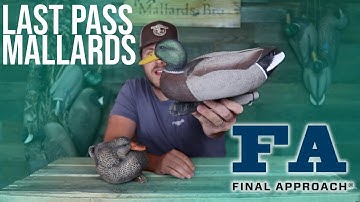 DOES SIZE MATTER?? | FA Last Pass Mallard Decoy Review
