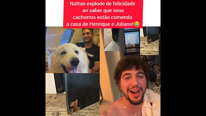 NATTAN sorri de FELICIDADE ao SABER que SEUS CACHORROS estão COMENDO a CASA de HENRIQUE e JULIANO!😂