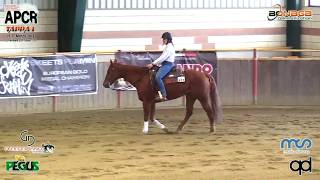 NRHA APCR SPRING REIN 2019 - ZAPELLONI SOFIA & MARRY FOR LOVE score 68