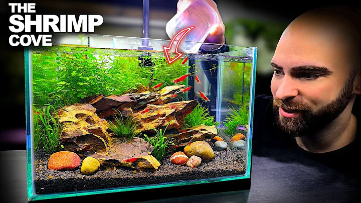 Monte um aquário perfeito para camarões cereja! 💦🦐🌿