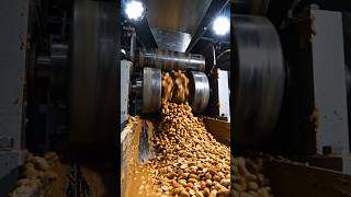 How Reese's Makes 2 Million Peanut Butter Cups Every Single Hour #industrialprocess