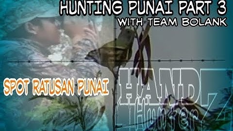 BERBURU PUNAI PART 3 SPOT ISTIMEWA/berburu  dengan senapan pcp,