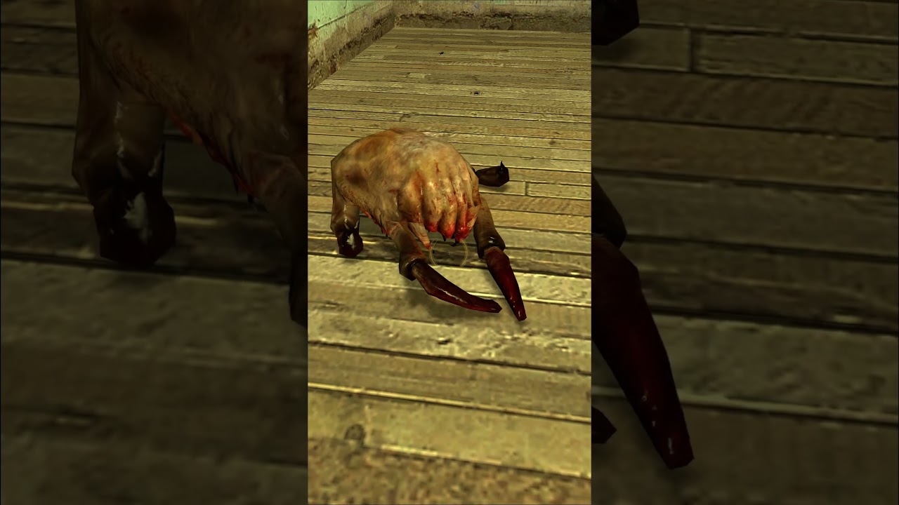 EL TERRIBLE SECRETO de los HEADCRAB de Half-Life 2