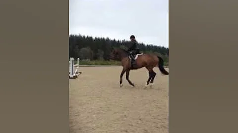 SJ lesson with Karen Reuter Niklasson