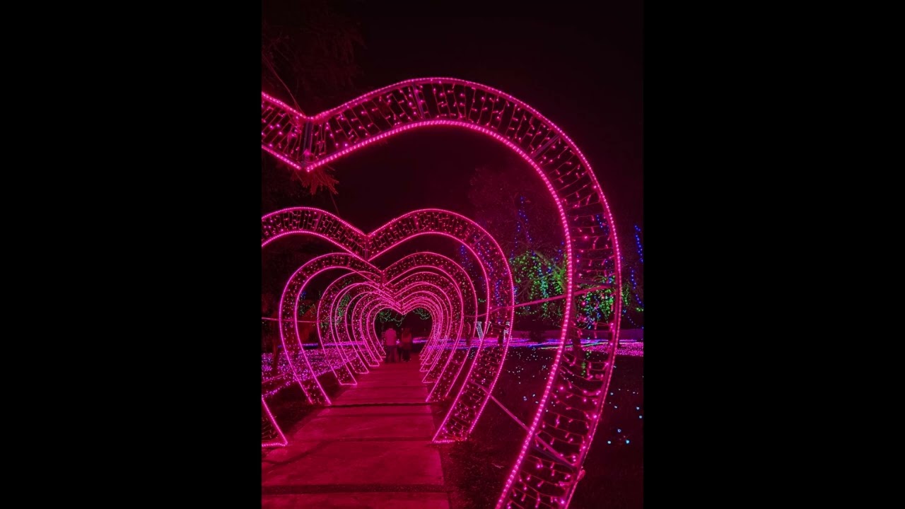 [FREE] Playboi Carti x Pi'erre Bourne type beat 