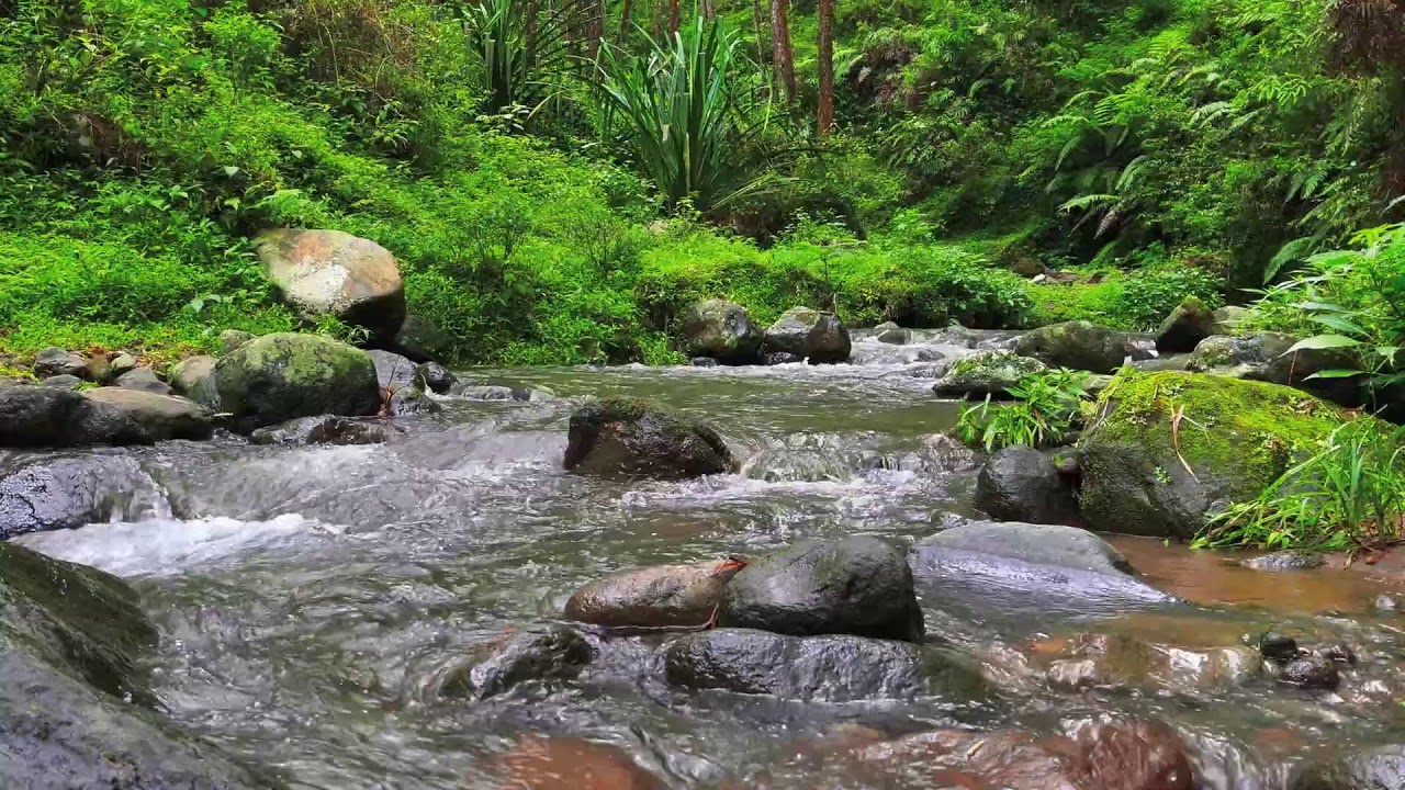 Deep Calm River – 10 Hours of ASMR for Focus, Anxiety & Stress Recovery