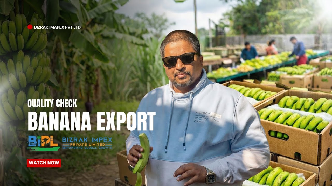 How We Check G9 Banana Quality for Export (Telugu) | From Farm to Packing Box