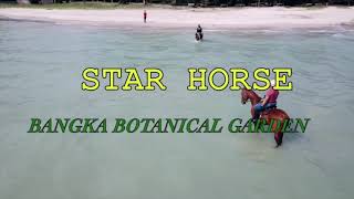 C3 B Comunitas Berkuda Bangka Belitung