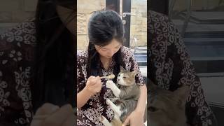 Idr Orang Dewasa Makan Bubur Bayi Emang Boleh makananindonesia