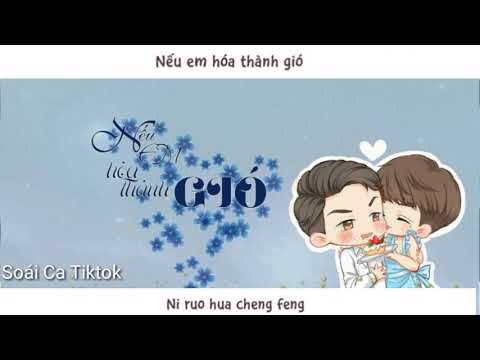 🎶[Vietsub] Nếu em hóa thành gió - Hứa Tung & A Bố | 你若成风 - 許嵩 & 阿布 #你若成风 #許嵩 #阿布 🎶