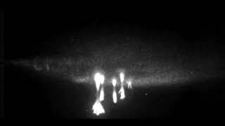 Rare lighting sprite slow motion