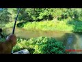 Риболов на река Въртешница край село Власатица