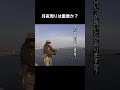 釣れる日釣れない日の判断基準は? #釣り #ルーディーズ #初心者