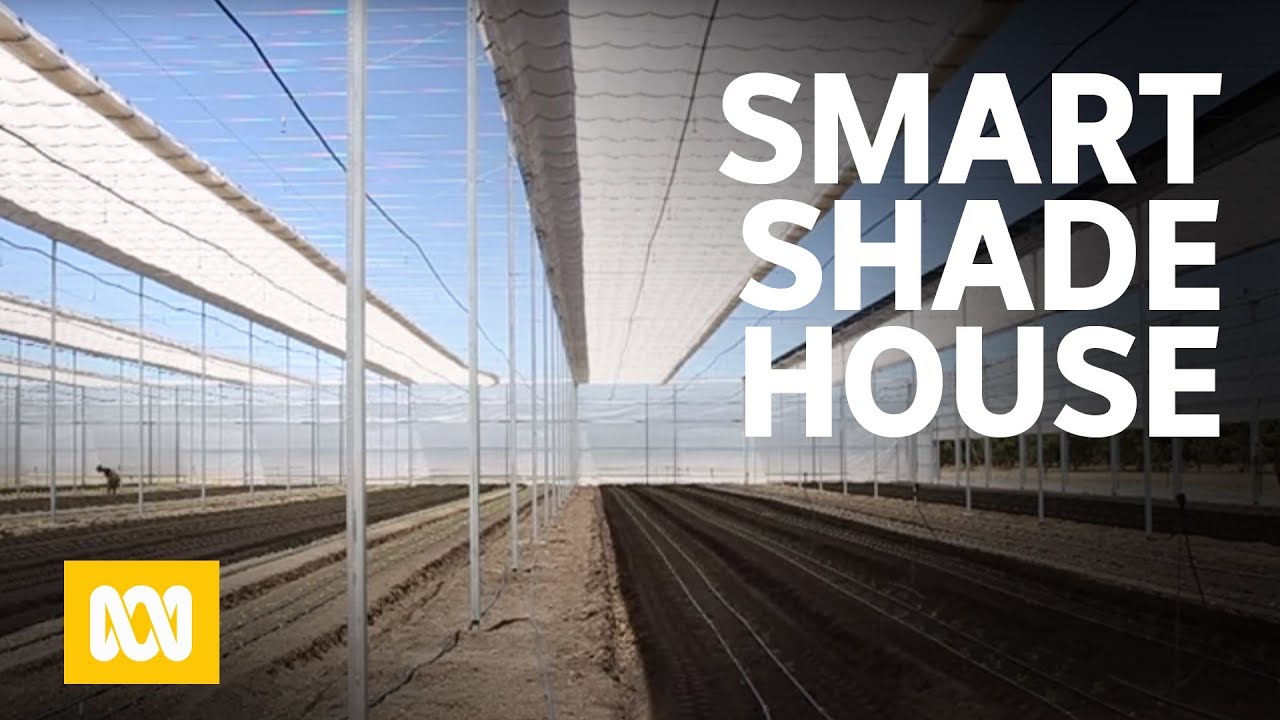 Bringing fresh vegetables to the Wheatbelt