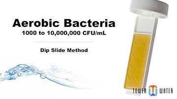 How to Test for Aerobic Bacteria Using the Dip Slide Method
