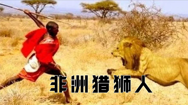 马赛人猎杀狮子真实场景：长矛连续刺入雄狮身体，场面非常残忍！ - 天天要闻