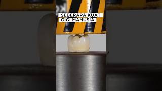 SEBERAPA KUAT GIGI MANUSIA VS MESIN HIDROLIK⁉️🤔 #shorts #viralvideo