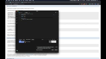 Install GoLang on MacOS | GoLang Beginner