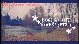 "Dear Sweetheart," Another River Day