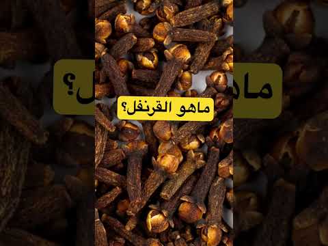 ماهو القرنفل القرنفل وفوايده