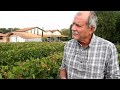 Tricholine vitis contre les tordeuses de la vigne  la parole aux viticulteurs
