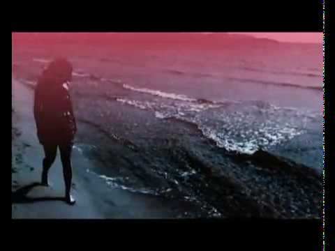 Tom Novy feat Abigail Bailey - Runaway (Official M...