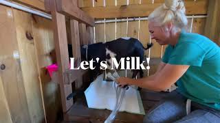 Step-by-Step Guide to Goat Milking with Simple Pulse Milking System #goats#milkinggoats #simplepulse