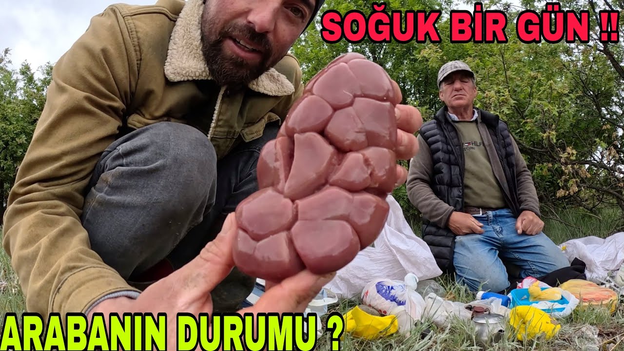 UYARI !! EVE KAÇTIK !! DEV SEBZELERDEN YEMEK~KÖPEKLERİ HAVADAN İZLEMEK