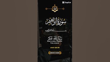 سورة إبراهيم 🤍_______🤍 #القرآن_الكريم #اكسبلور #المصحف #راحة_نفسية #دويتو