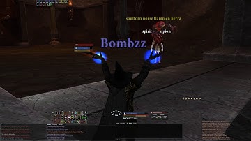 Phoenix - Target Bug