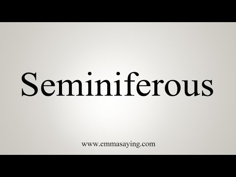 How To Say Seminiferous