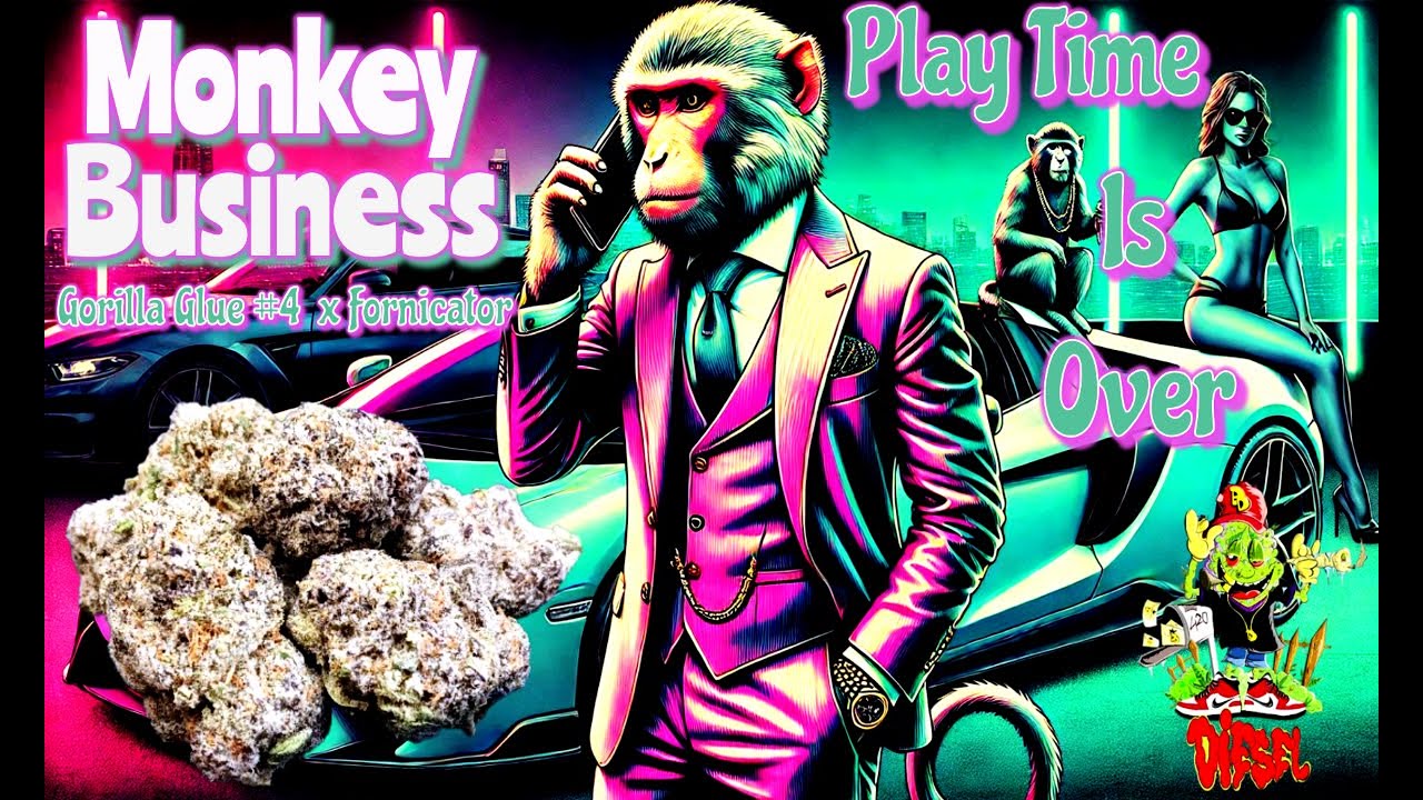 Trying Diesel Dispensary Monkey Business THCa Flower - This One Isn't Playing Around!