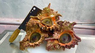 Lion snail sashimi. I prepare 5 delicious dishes from lion snails in the kitchen // Vn Chef