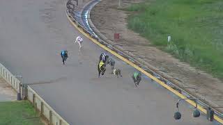 SHP MON 13 APR 26 R12