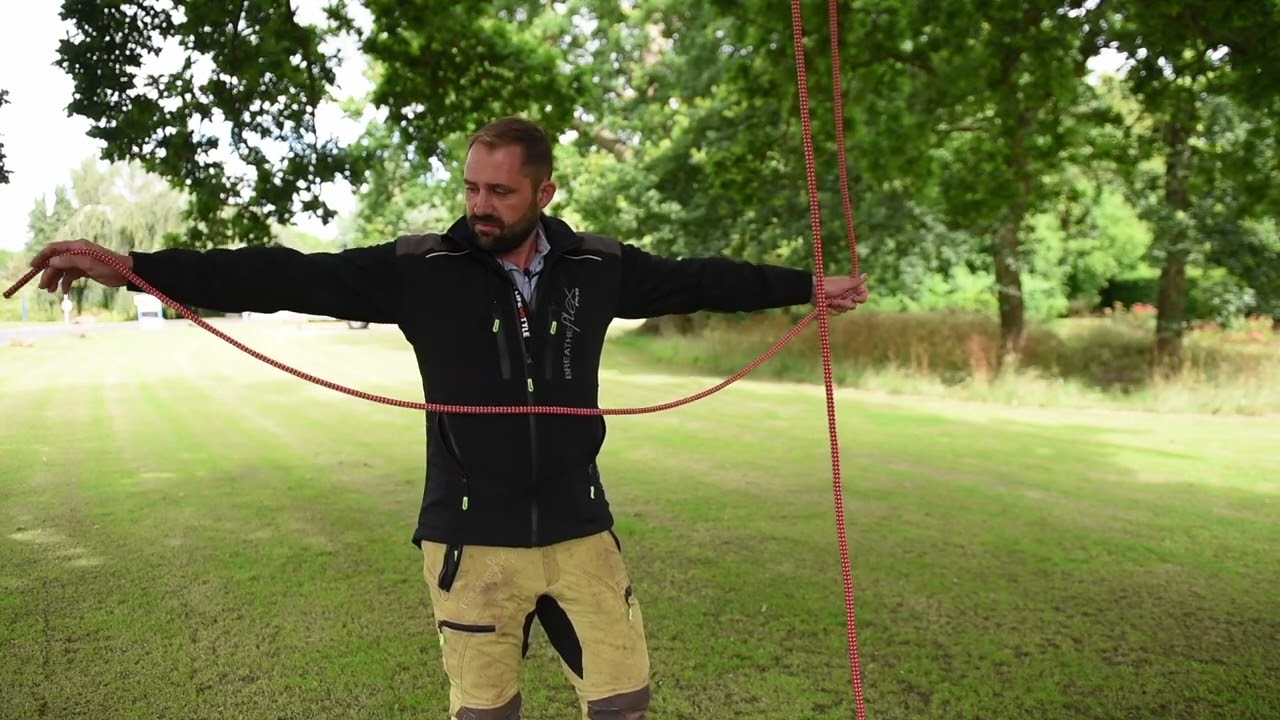 The Three Knot System