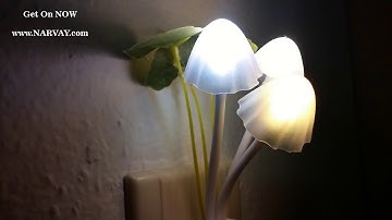 Led Mushroom Sensor Night Light