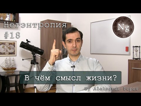 В чём смысл жизни? Саморазвитие