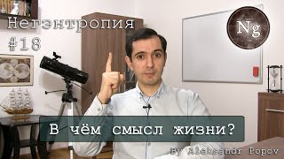 В чём смысл жизни? Саморазвитие В чём смысл жизни? Саморазвитие
