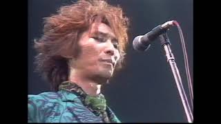 The Street Sliders - Boys Jump The Midnight (1988.4.10 MUSIC WAVE SPECIAL at 汐留PIT)