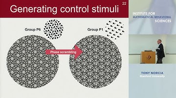 Tony Norcia - "Neural and Computational Foundations of Human Symmetry Processing"