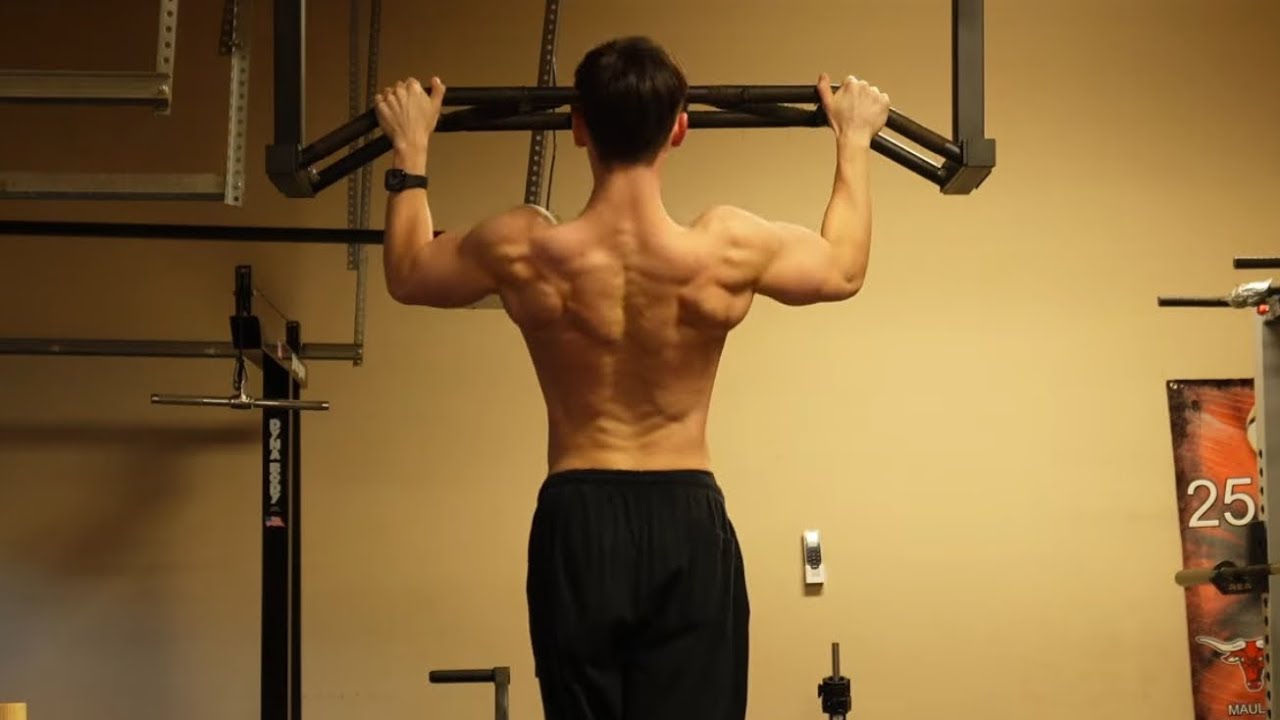 Back/Hams/triceps in the Home Gym - YouTube
