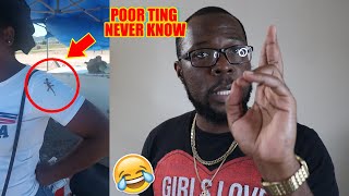 Jamaicans Tell Mi What This Mean 😂😂😂 [K2K REACTION S11 Ep #24 SEASON END]