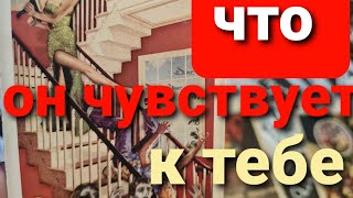 ЧТО ОН ДУМАЕТ О ВАС СЕЙЧАС?  ТАРО