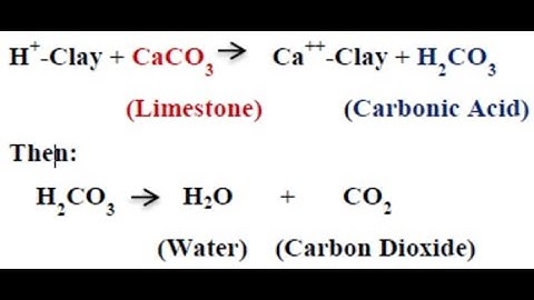 How does lime work - 101!