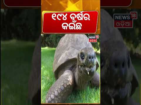PM Modi to Meet World's Oldest Living Animal 'Jonathan' | 194-Year-Old Giant Tortoise