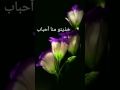 اجمل نغمة وداع اجمل نغمة وداع