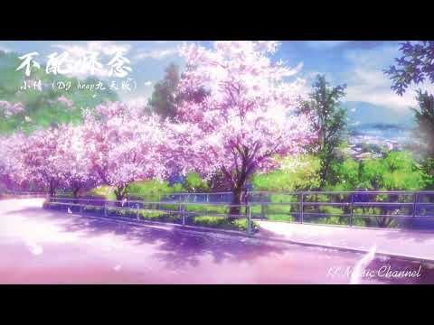 小倩 - 不配怀念（DJheap九天版）『我迎着风撑着眼帘 用力不眨眼』 【动态歌词/Pinyin Lyrics】
