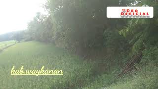Kecapi Suling Sunda Versi Sawah